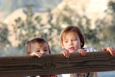 children on fence